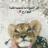 user5793810692238
