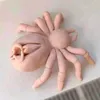 ebofanchik