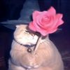 jcall.me.hlaing2