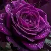78mmmwcg8sk