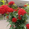 shakir.khan12390