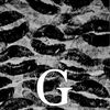 gi.prinseca01