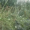 eio_yu6