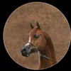 iil5_73