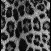 omniii.4