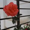 abidhassan467