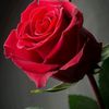 user73086751787168