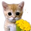 leo.tirado0