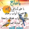 hichamdhbi119