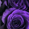 user1990004685170