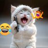user1881925161339