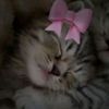 user36201024512604