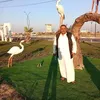 user52122569706354