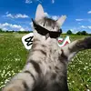 tivaro_edit