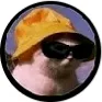 user7071460382108