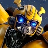 bumblebee0628