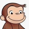 monkey77258