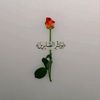 user231039866365