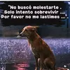 user5836321536547
