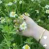 yashma554