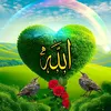 ammi.jee01