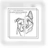 caniseguros