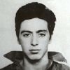 alpacinojunior1