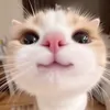 jiji_janoti