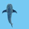 abbiem0408