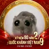 qunhf61