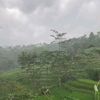 bocahgunung.81