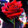 mdshahnawaz78642