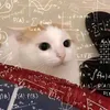oi_hng12