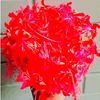 jothi.ja