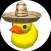 duck_357