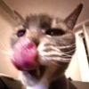 its.spencie