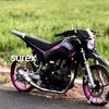 ziboy603