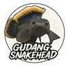 whiteal_snakehead