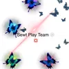 _sewtplay.team_