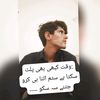 meharhasnain31