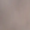 ramon_rl0