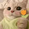 nelyn769