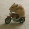 cynab_