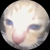 accclonehuy8