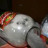 sova_159_