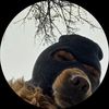 l3mm3sleep