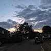 scarlett_cannx