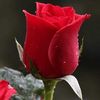 nabilfaras44
