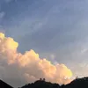 bongtoi1111