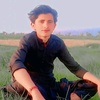 dilshad.khoso858